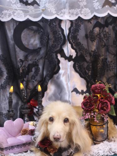 20231017ハクくん